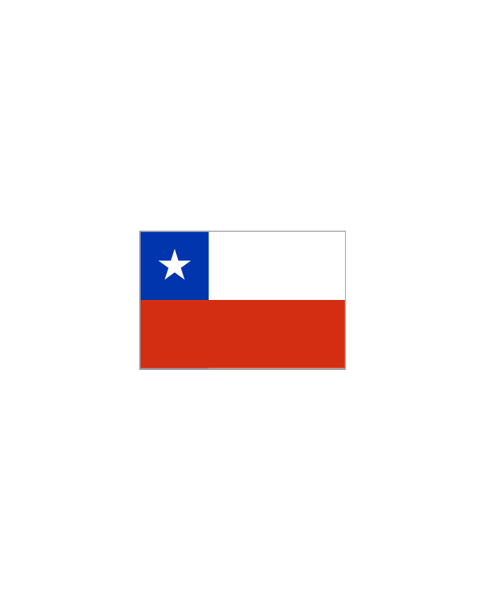 Bandera Chile exterior •