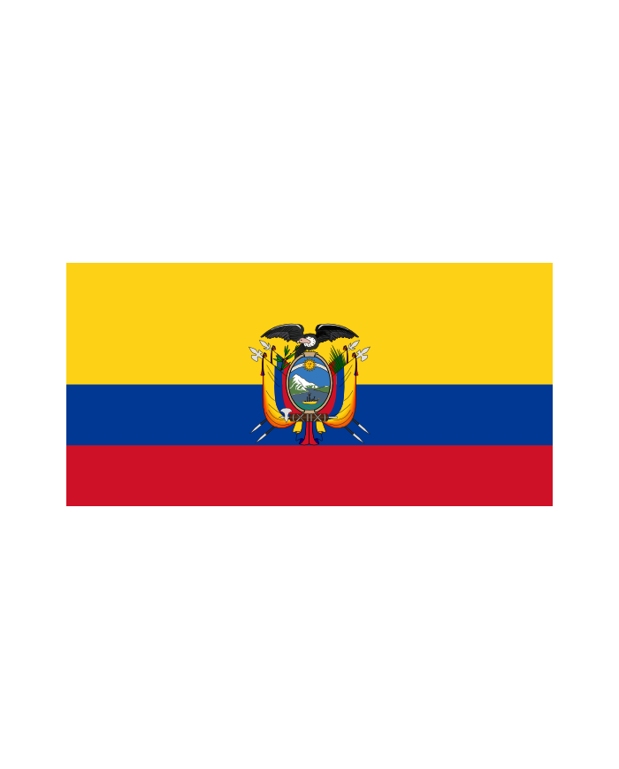 Bandera Ecuador exterior