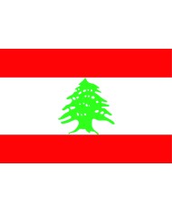 Bandera Líbano exterior