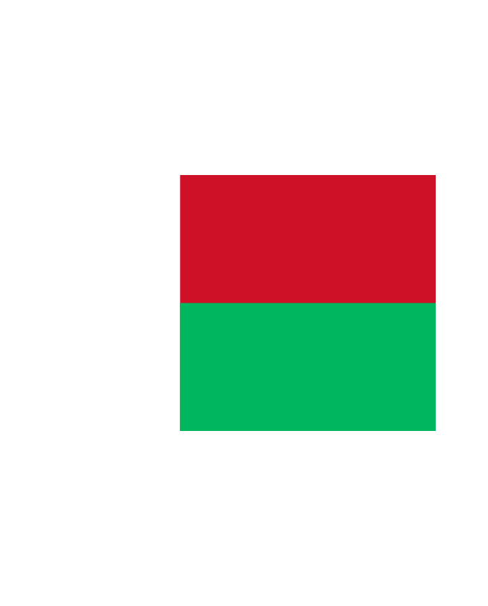 Bandera Madagascar exterior