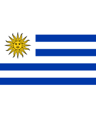 Bandera Uruguay exterior