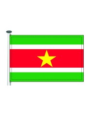 Bandera Surinam exterior Bandera Surinam exterior