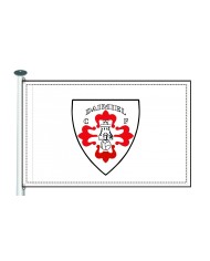 Bandera C.F. Daimiel Bandera C.F. Daimiel