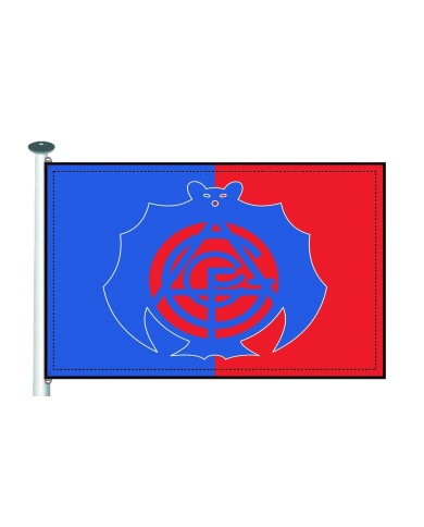 Bandera C.F. Gimnástico Álcazar Bandera C.F. Gimnástico Álcazar
