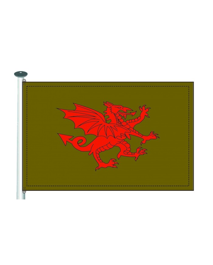 Bandera medieval dragón fondo liso
