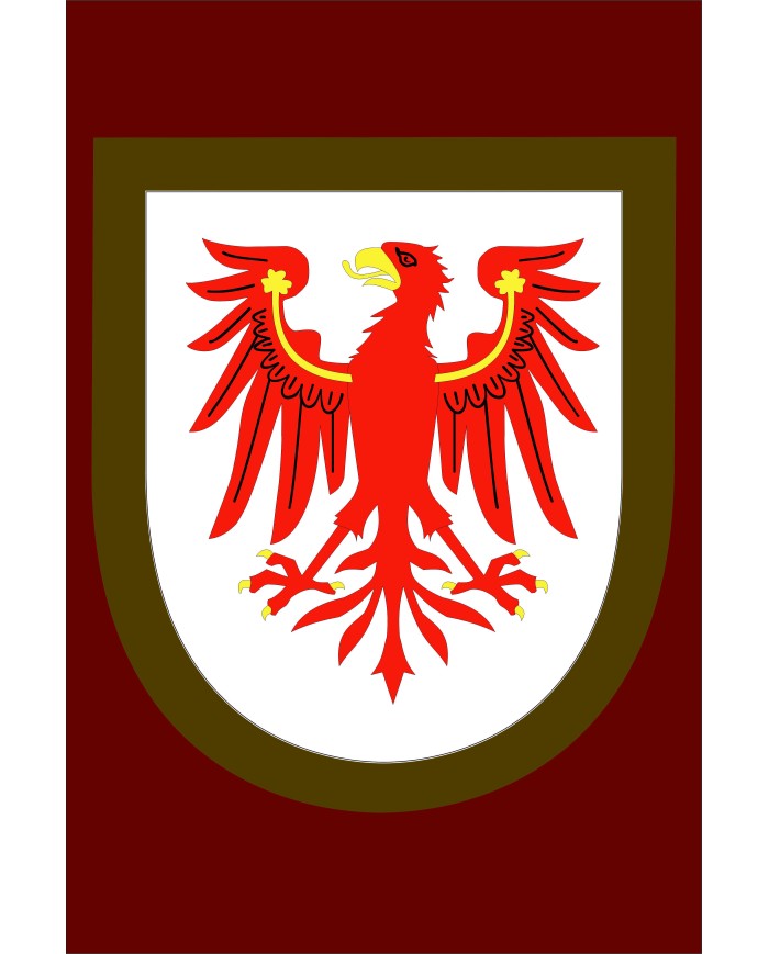 Bandera Personalizada tipo Medieval en raso de alta calidad a tu Gusto
