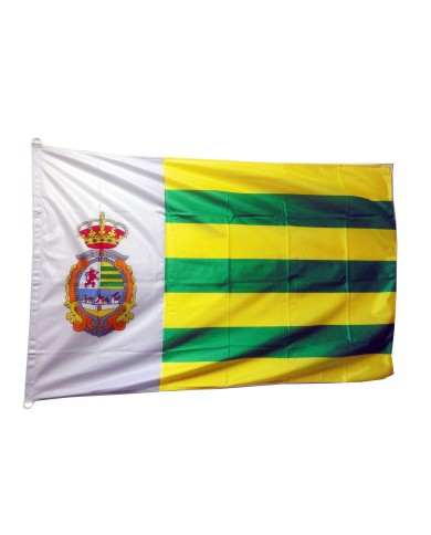 Bandera VIllaseca de la Sagra