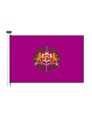 BANDERA DIPUTACIÓN DE VALLADOLID