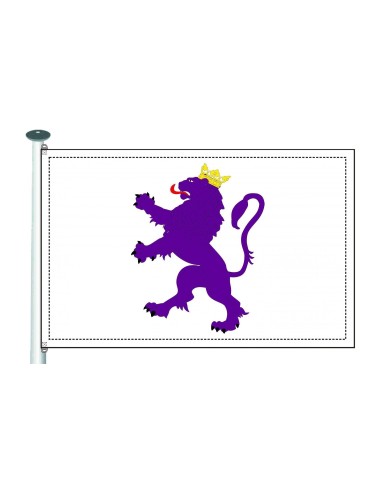 Bandera Reino de León