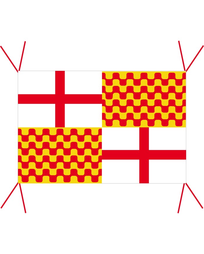 Bandera Tabarnia Bandera Tabarnia