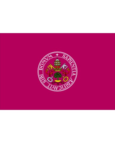 Bandera Universidad de Valladolid Bandera Universidad de Valladolid