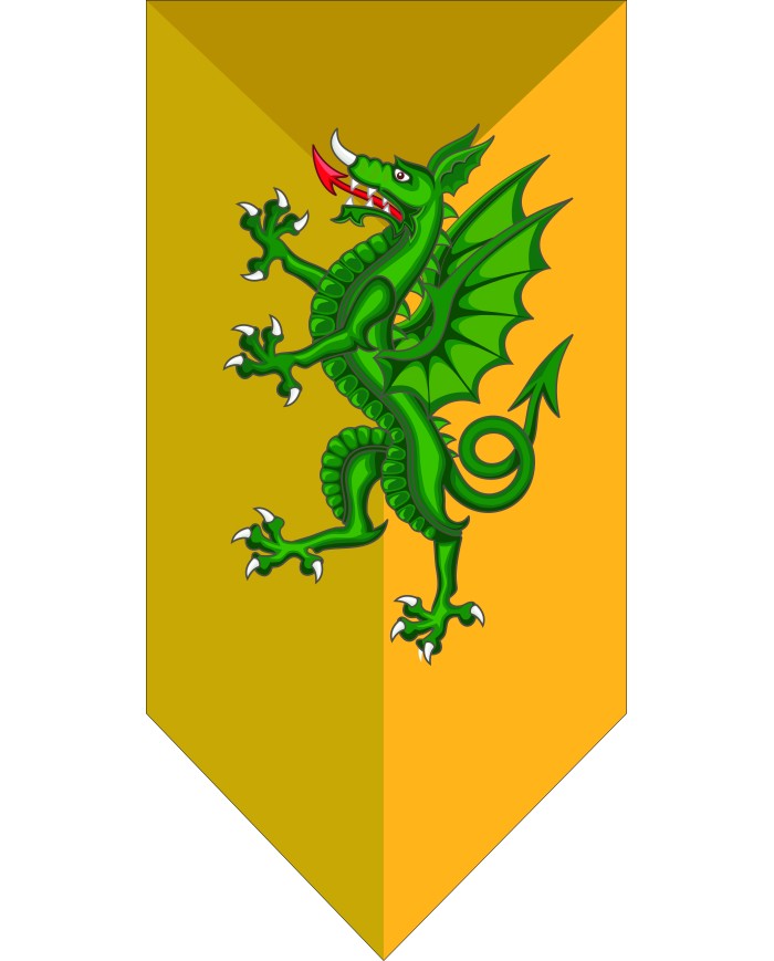 Bandera Medieval modelo 69