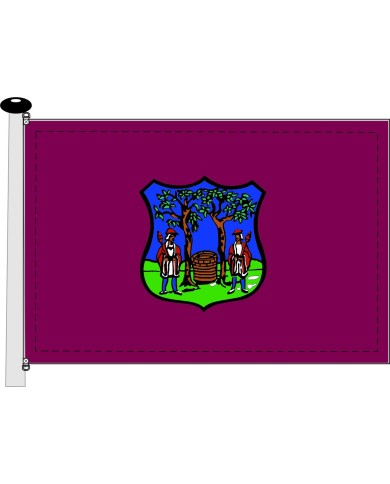Bandera Montijo Bandera Montijo