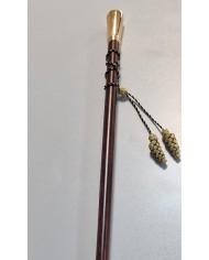 Bastón de mando económico